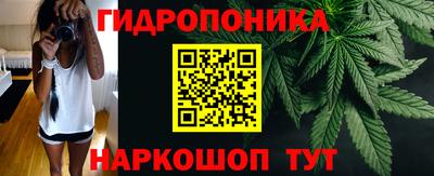 бошки Кинель