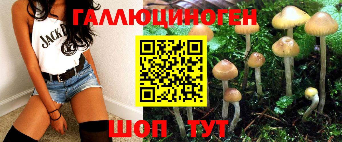 Псилоцибиновые грибы мицелий  Вход с VPN  Псилоцибиновые грибы мухоморы  Коряжма 